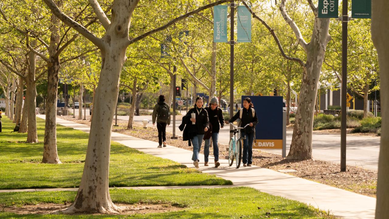 Students walk on a tree-lined sidewalk, with one pushing a bicycle.